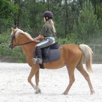 Photo de profil de chevaldereve33