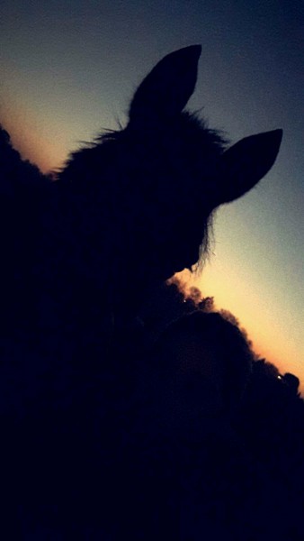 Photo de profil de chloe.glb