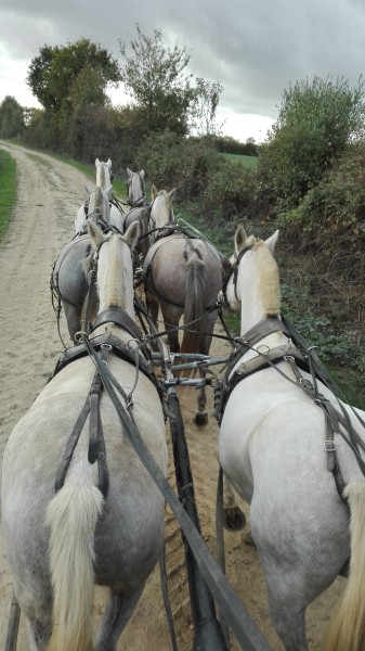 Photo de profil de chrystie