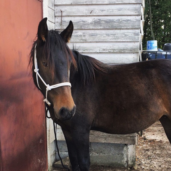 Photo de profil de cilhild