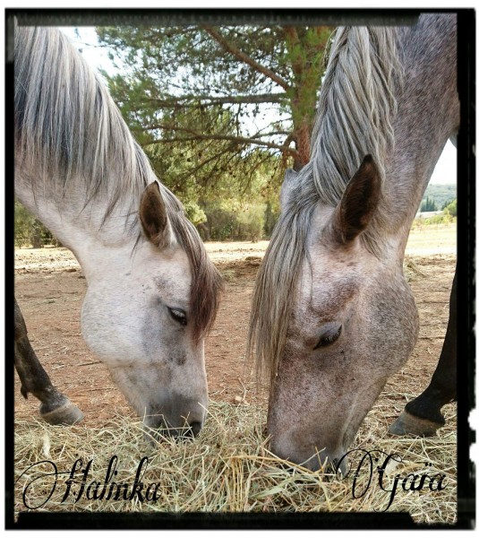 Photo de profil de cindygaia