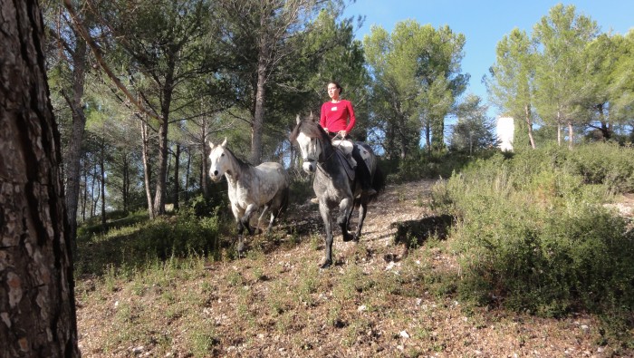 Photo de profil de claire13122