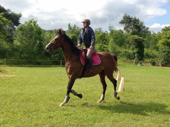 Photo de profil de clara.g