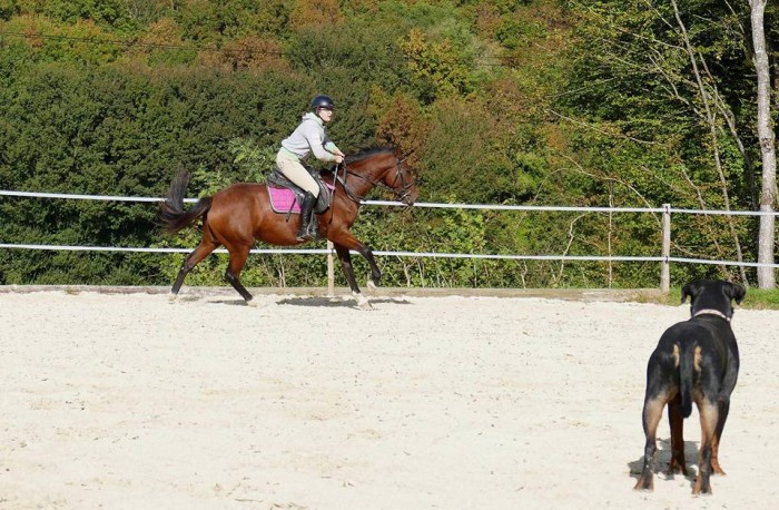 Photo de profil de claroul