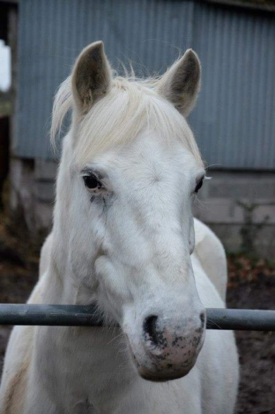 Photo de profil de claroutte