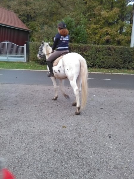 Photo de profil de cleopotiron