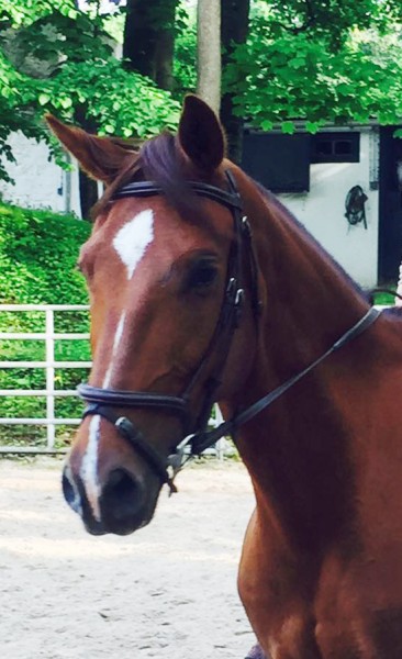 Photo de profil de cly60