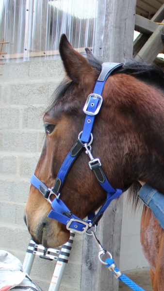 Photo de profil de cocacherry213