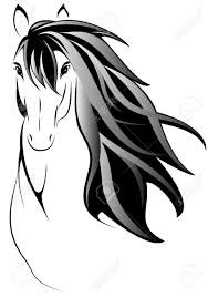 Photo de profil de colco