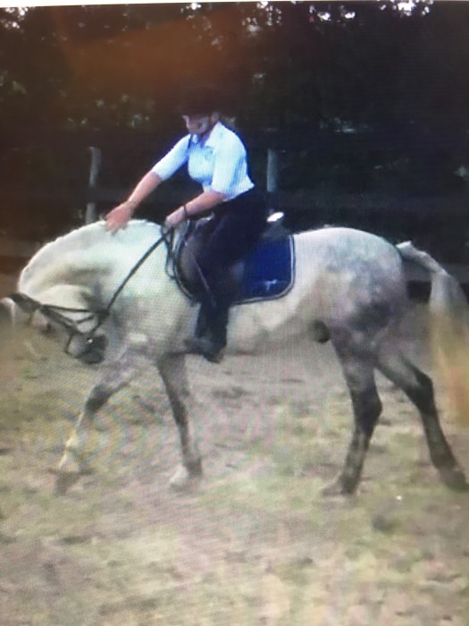 Photo de profil de comi2003