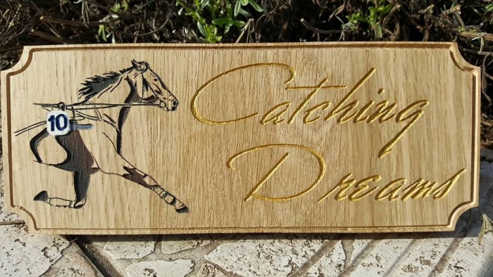 Photo de profil de copeauxdart