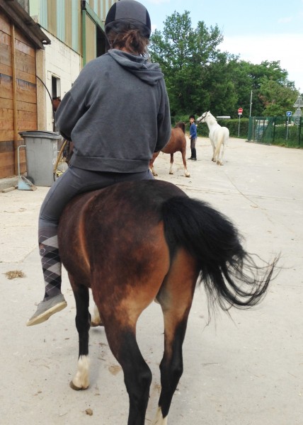 Photo de profil de cvmille