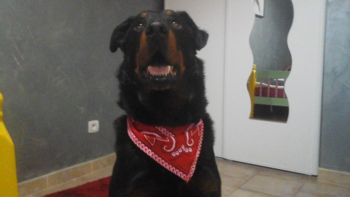 Photo de profil de dadadidou