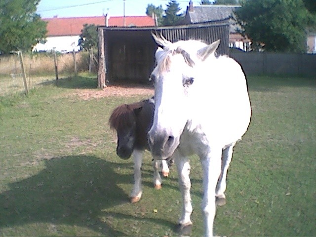 Photo de profil de dadarbl02