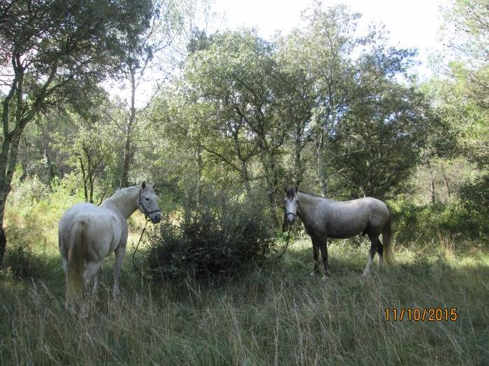 Photo de profil de daisy302017