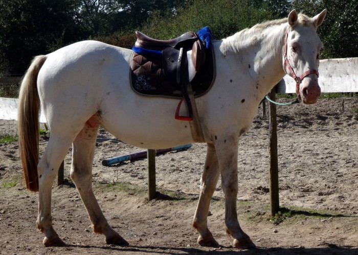 Photo de profil de darkrose71