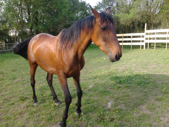 Photo de profil de delinos