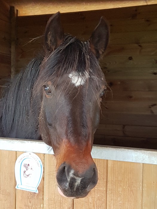 Photo de profil de delphine89