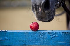 Photo de profil de diet83