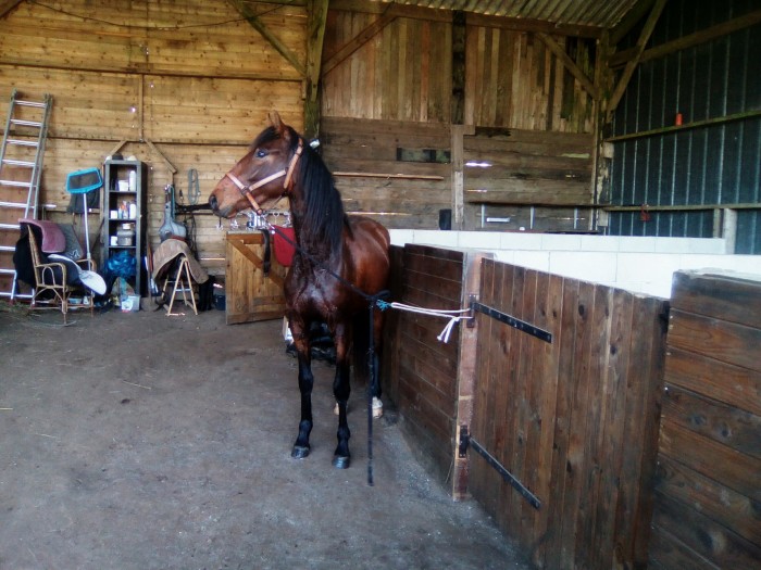 Photo de profil de dionysosalya