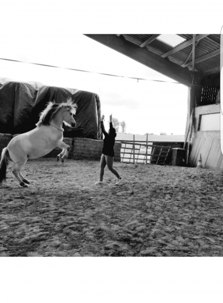 Photo de profil de djanis57310