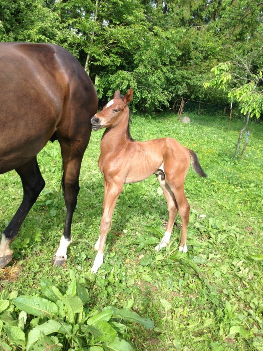 Photo de profil de dodoeustache