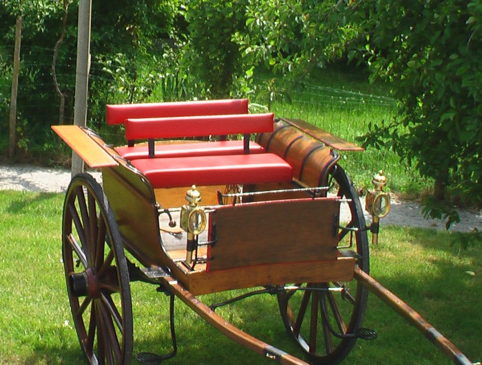 Photo de profil de doldebretagne
