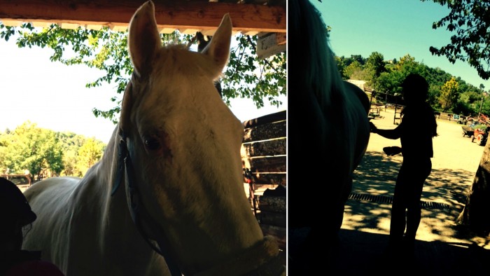 Photo de profil de doriane_06