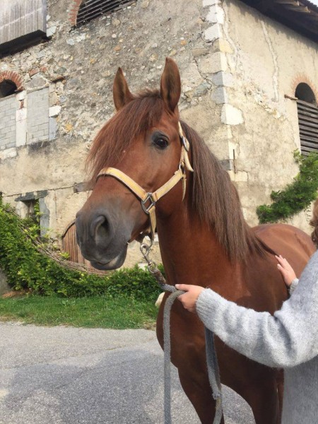 Photo de profil de doucette74