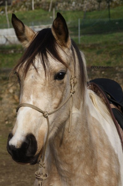 Photo de profil de doudou1987