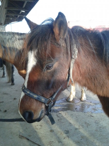Photo de profil de dreamweaver