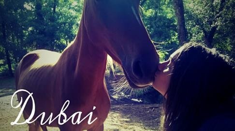 Photo de profil de dubai1804