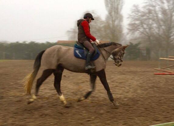 Photo de profil de ecuriedupaon