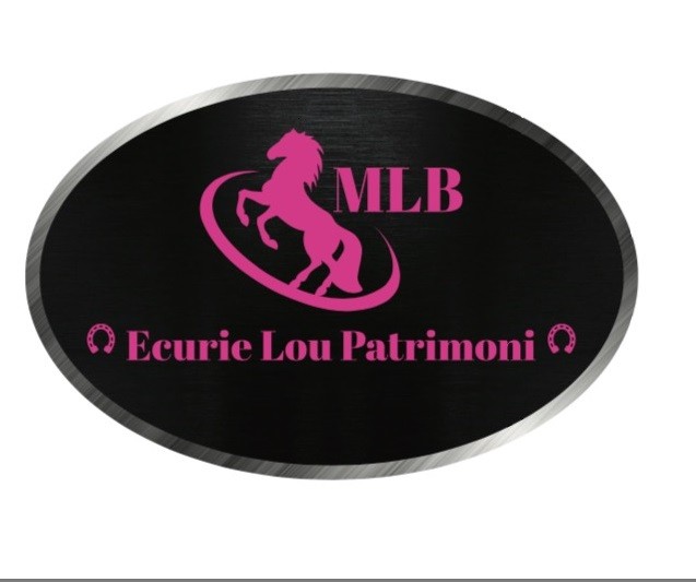 Photo de profil de ecurie.lp.mlb