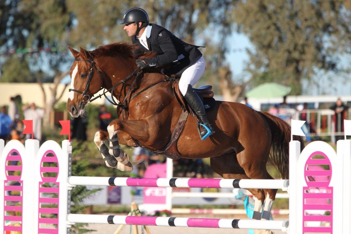 Photo de profil de ecuriesdesoule