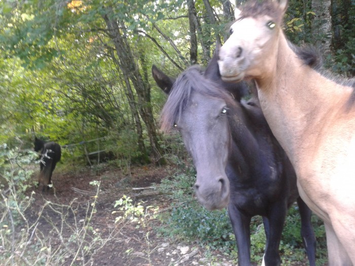 Photo de profil de edenblack