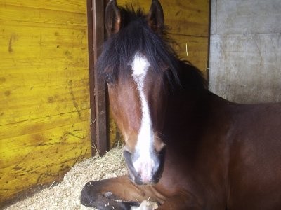 Photo de profil de eidsjsydk