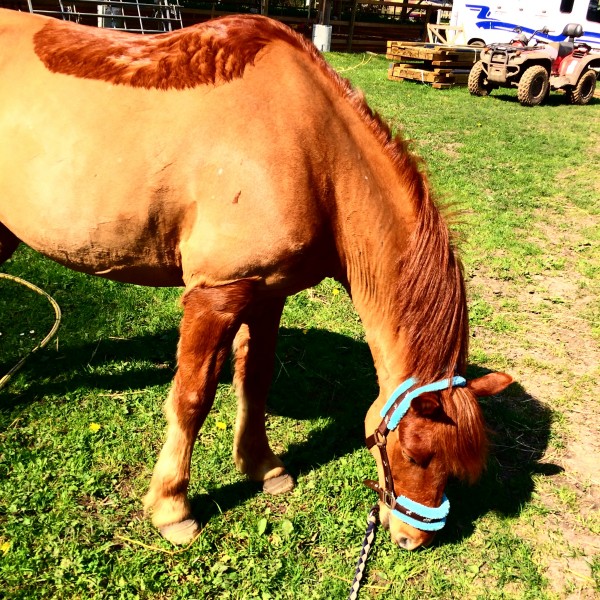 Photo de profil de elfie.pllt