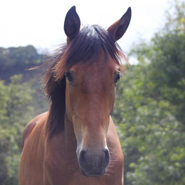 Photo de profil de elihqs