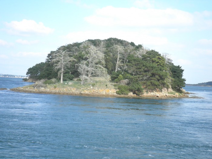 Photo de profil de elise2003