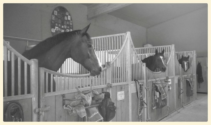 Photo de profil de ellipse118