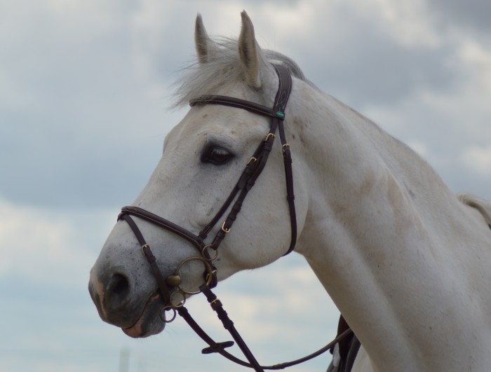 Photo de profil de elodie191989