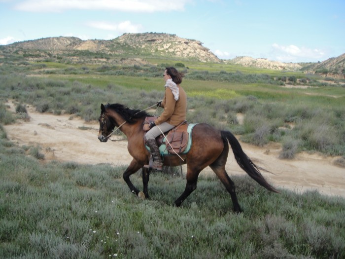 Photo de profil de elorria