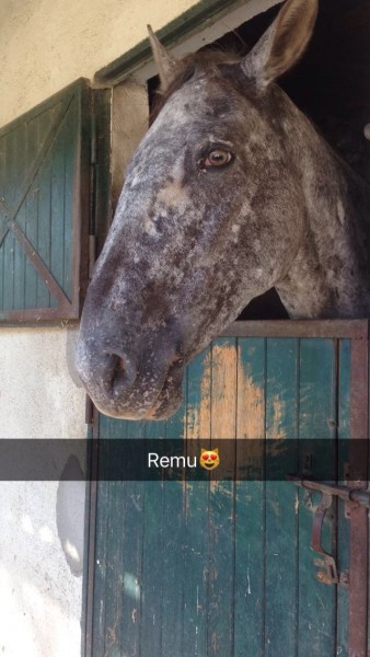 Photo de profil de emma__shina