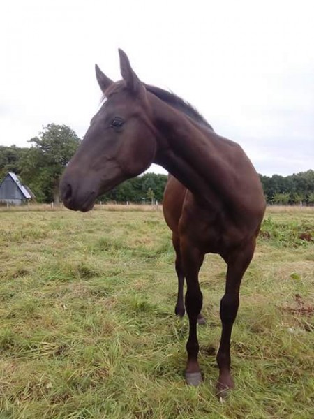 Photo de profil de enora11