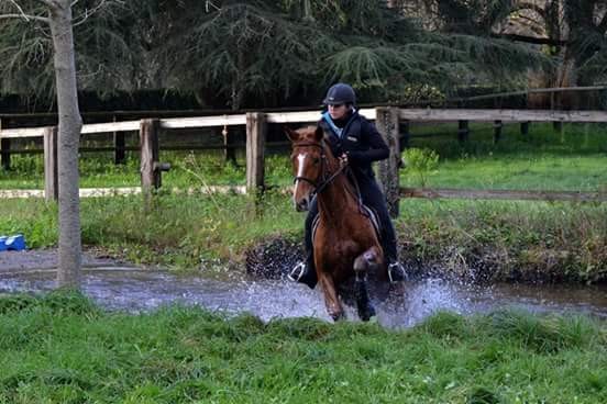 Photo de profil de enseignante