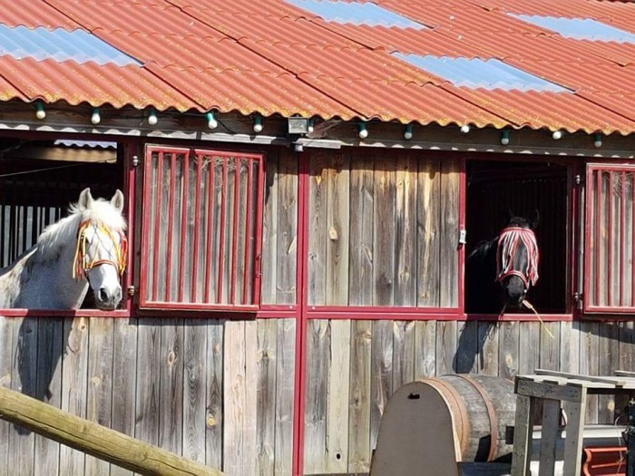 Photo de profil de equi2m