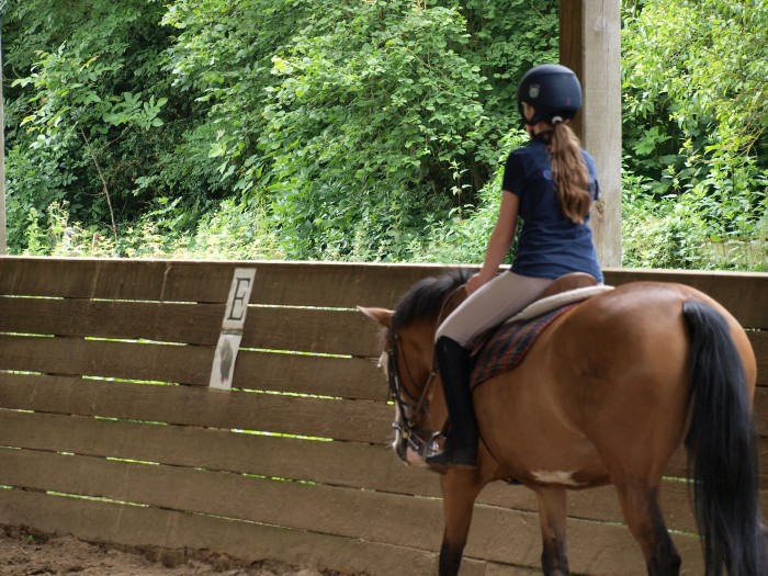 Photo de profil de equinepassion