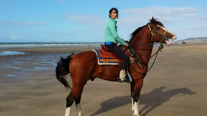 Photo de profil de equylibre