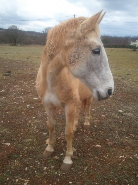 Photo de profil de estelle84